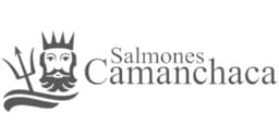 Salmones